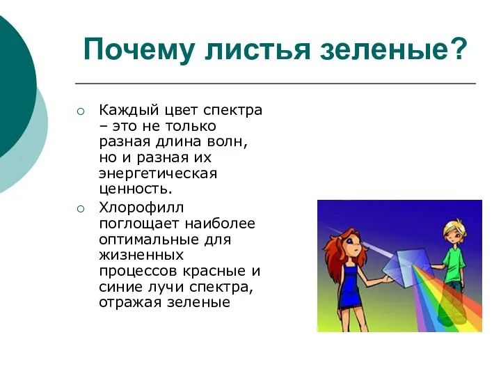 Почему листья зеленые? Каждый цвет спектра – это не только