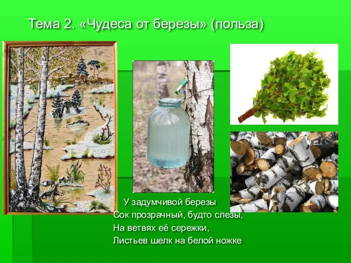 Тема 2. «Чудеса от березы» (польза) У задумчивой березы Сок прозрачный, будто слезы,