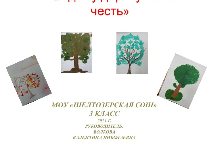 МОУ «ШЕЛТОЗЕРСКАЯ СОШ» 3 КЛАСС 2021 Г. РУКОВОДИТЕЛЬ: ВОЛКОВА ВАЛЕНТИНА НИКОЛАЕВНА «Каждому дереву – своя честь»