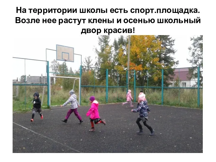 На территории школы есть спорт.площадка.Возле нее растут клены и осенью школьный двор красив!