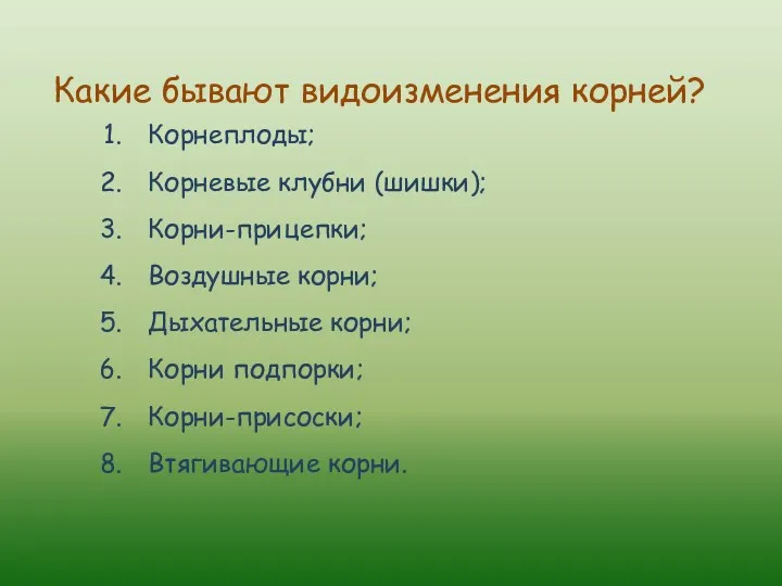 Какие бывают видоизменения корней? Корнеплоды; Корневые клубни (шишки); Корни-прицепки; Воздушные