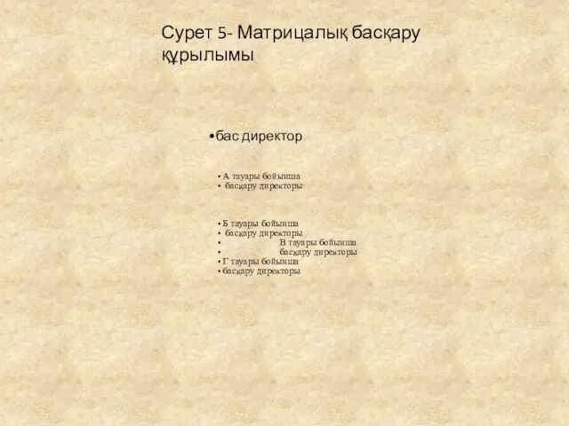 Сурет 5- Матрицалық басқару құрылымы бас директор А тауары бойынша