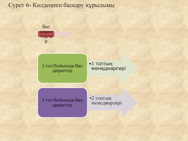 Сурет 6- Көлдеңнен басқару құрылымы бас директорлар 1 топ бойынша