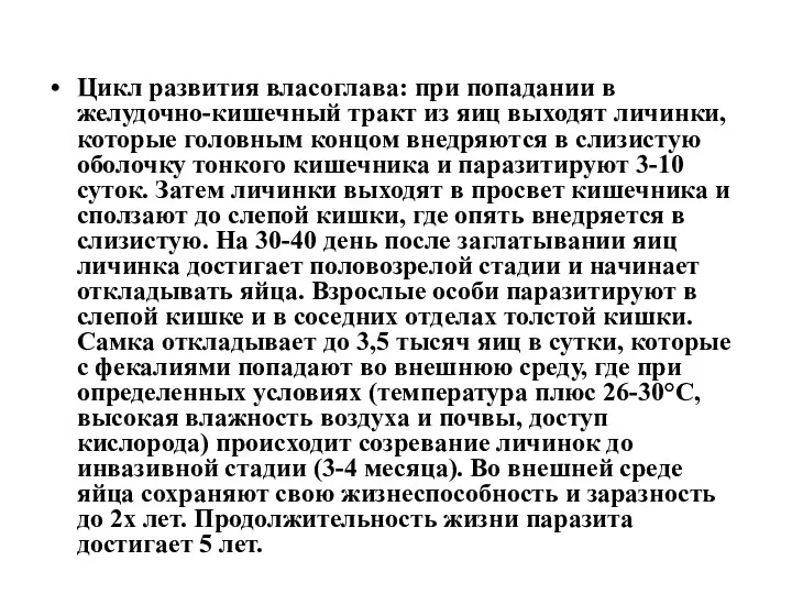 Цикл развития власоглава: при попадании в желудочно-кишечный тракт из яиц