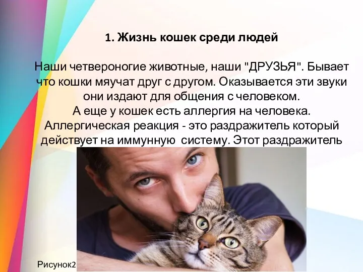 1. Жизнь кошек среди людей Наши четвероногие животные, наши "ДРУЗЬЯ".