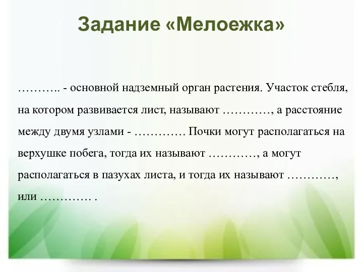 Задание «Мелоежка» ……….. - основной надземный орган растения. Участок стебля,