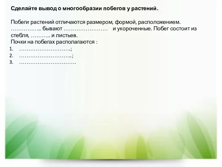 Сделайте вывод о многообразии побегов у растений. Побеги растений отличаются