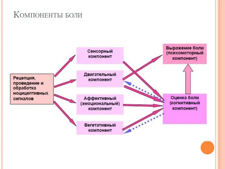 Компоненты боли