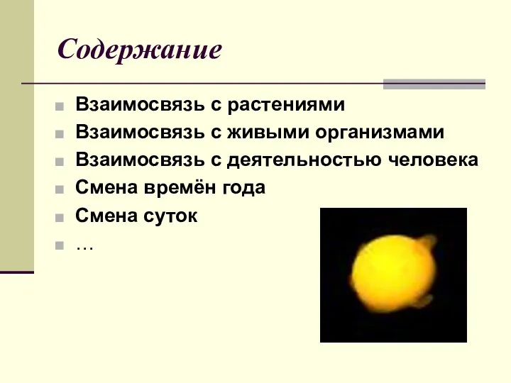 Содержание Взаимосвязь с растениями Взаимосвязь с живыми организмами Взаимосвязь с