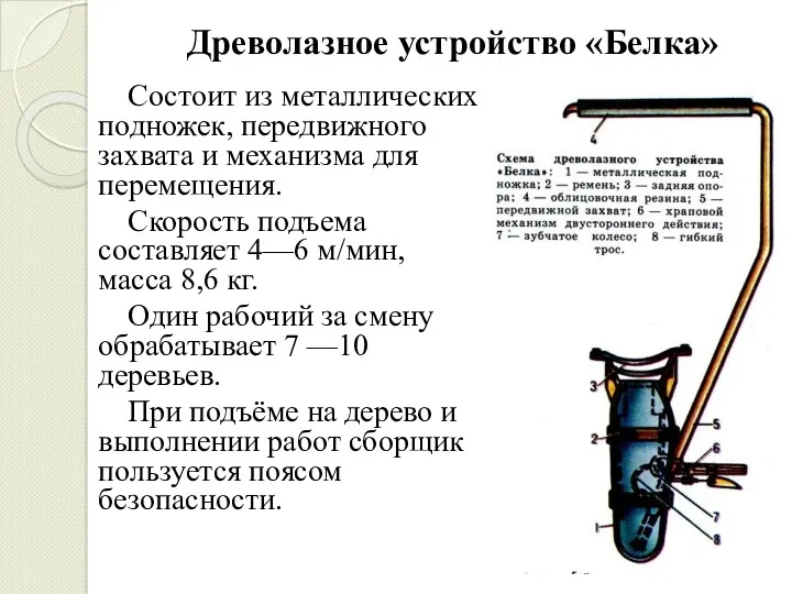 Древолазное устройство «Белка» Состоит из металлических подножек, передвижного захвата и