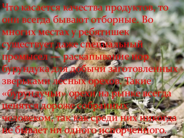 Что касается качества продуктов, то они всегда бывают отборные. Во многих местах у