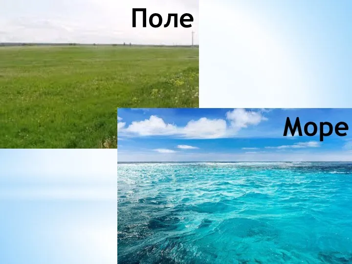 Поле Море