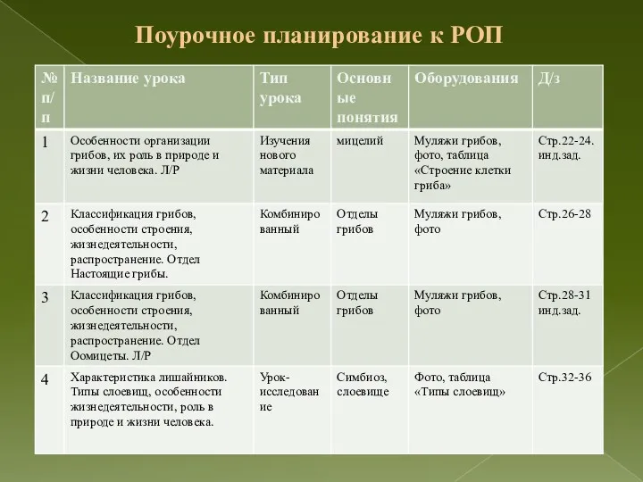 Поурочное планирование к РОП