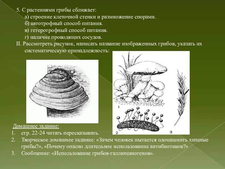 5. С растениями грибы сближает: а) строение клеточной стенки и