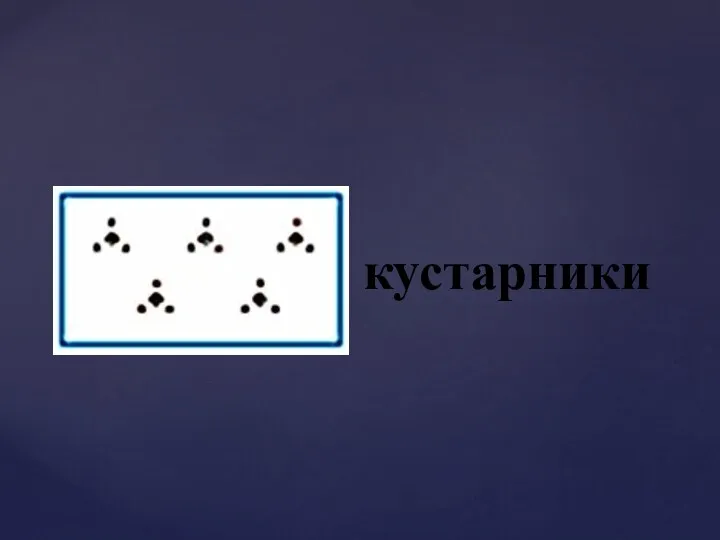 кустарники