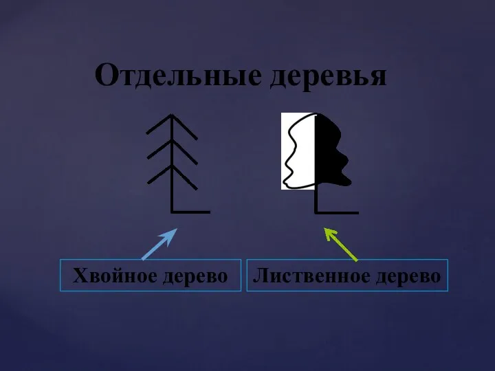 Отдельные деревья Хвойное дерево Лиственное дерево