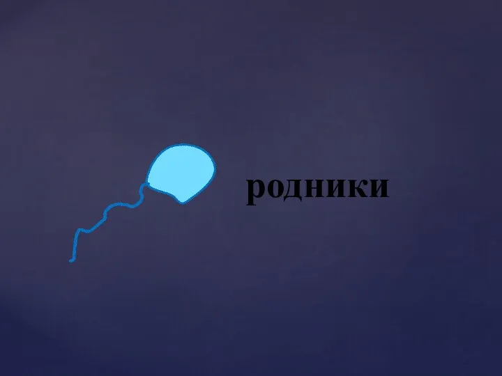 родники