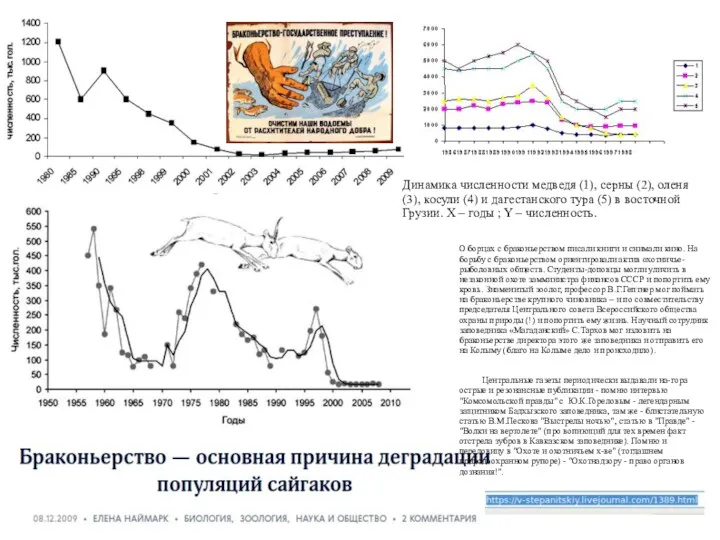 Динамика численности медведя (1), серны (2), оленя (3), косули (4)