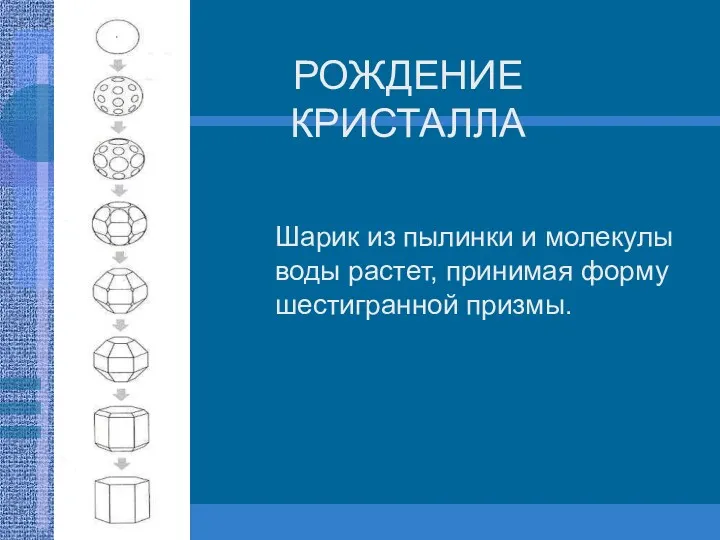 РОЖДЕНИЕ КРИСТАЛЛА Шарик из пылинки и молекулы воды растет, принимая форму шестигранной призмы.