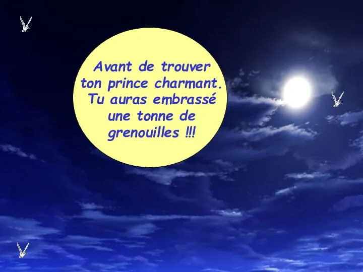 Avant de trouver ton prince charmant. Tu auras embrassé une tonne de grenouilles !!!