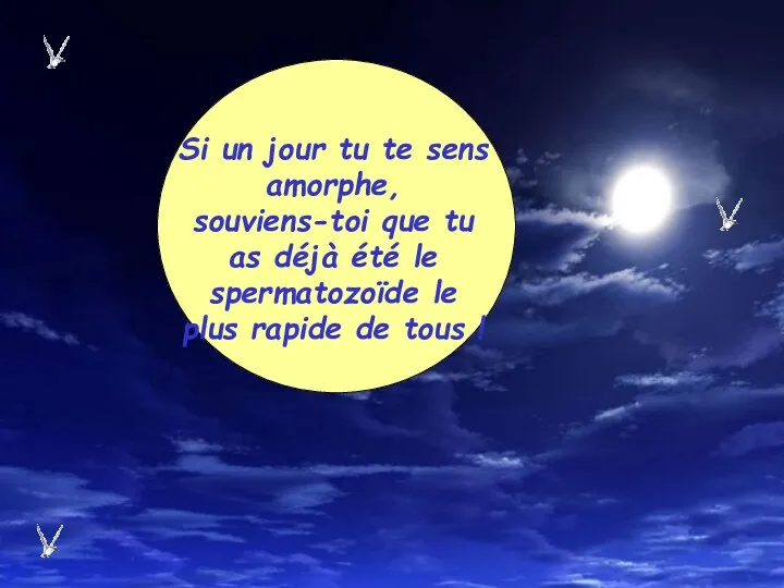 Si un jour tu te sens amorphe, souviens-toi que tu