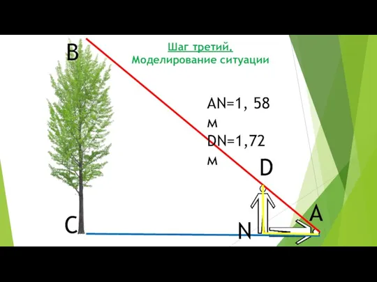 А D N B C AN=1, 58 м DN=1,72 м Шаг третий. Моделирование ситуации