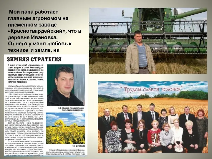 Мой папа работает главным агрономом на племенном заводе «Красногвардейский», что в деревне Ивановка.