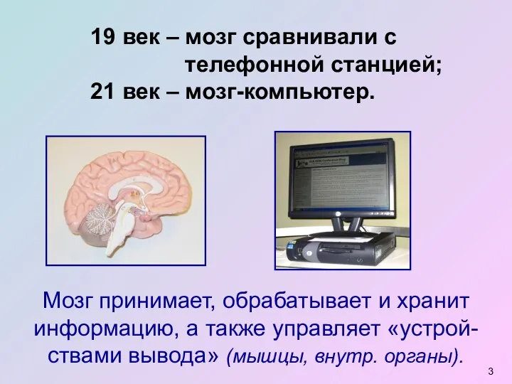 19 век – мозг сравнивали с телефонной станцией; 21 век – мозг-компьютер.