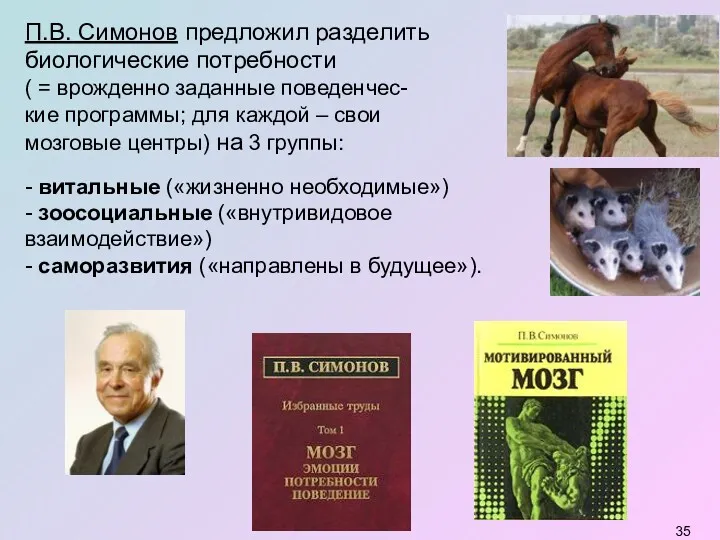 П.В. Симонов предложил разделить биологические потребности ( = врожденно заданные поведенчес- кие программы;
