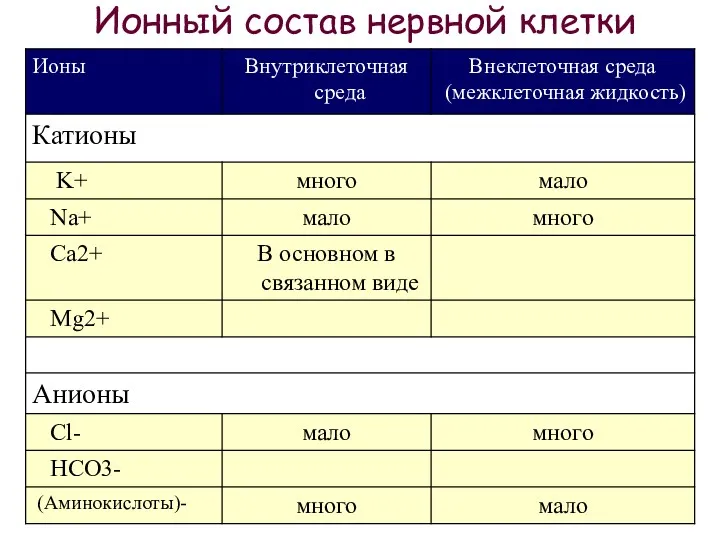 Ионный состав нервной клетки