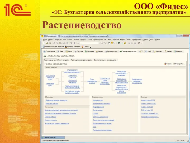Растениеводство ООО «Фидес» «1С: Бухгалтерия сельскохозяйственного предприятия»
