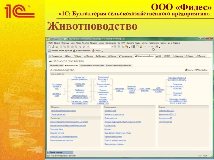 Животноводство ООО «Фидес» «1С: Бухгалтерия сельскохозяйственного предприятия»