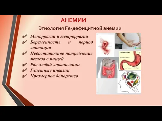 АНЕМИИ Меноррагии и метроррагии Беременность и период лактации Недостаточное потребление