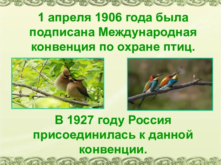 1 апреля 1906 года была подписана Международная конвенция по охране птиц. В 1927