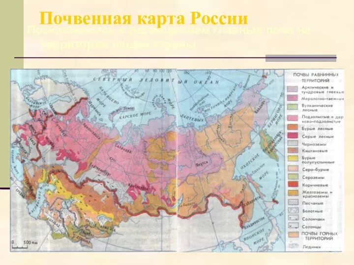 Почвенная карта России Познакомьтесь с размещением главных почв на территории нашей страны