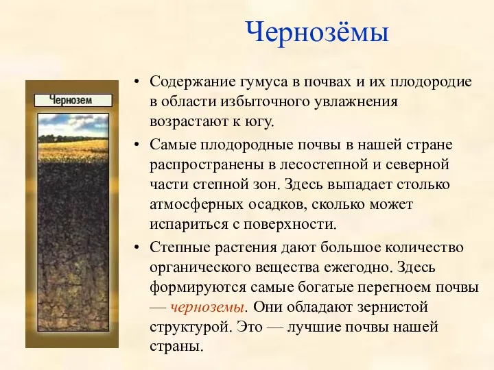 Чернозёмы Содержание гумуса в почвах и их плодородие в области