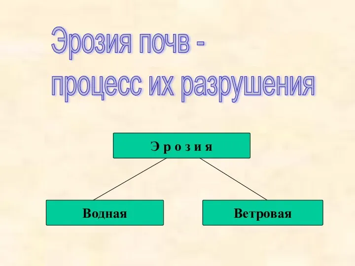 Эрозия почв - процесс их разрушения Э р о з и я Водная Ветровая