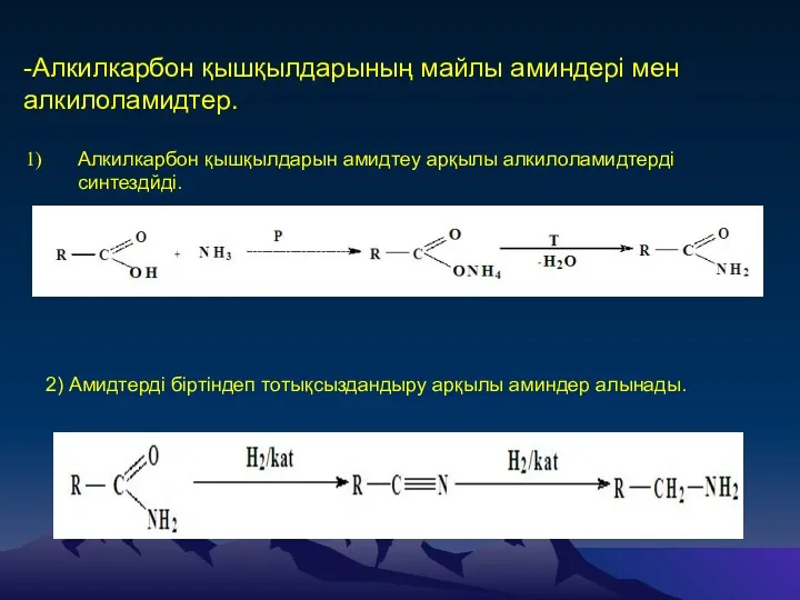 -Алкилкарбон қышқылдарының майлы аминдері мен алкилоламидтер. Алкилкарбон қышқылдарын амидтеу арқылы