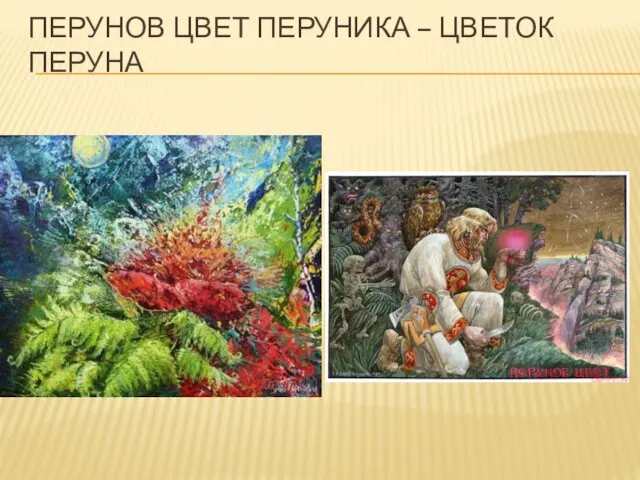 ПЕРУНОВ ЦВЕТ ПЕРУНИКА – ЦВЕТОК ПЕРУНА