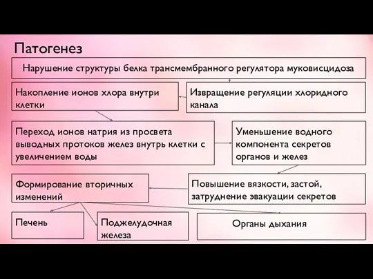 Патогенез Нарушение структуры белка трансмембранного регулятора муковисцидоза Извращение регуляции хлоридного