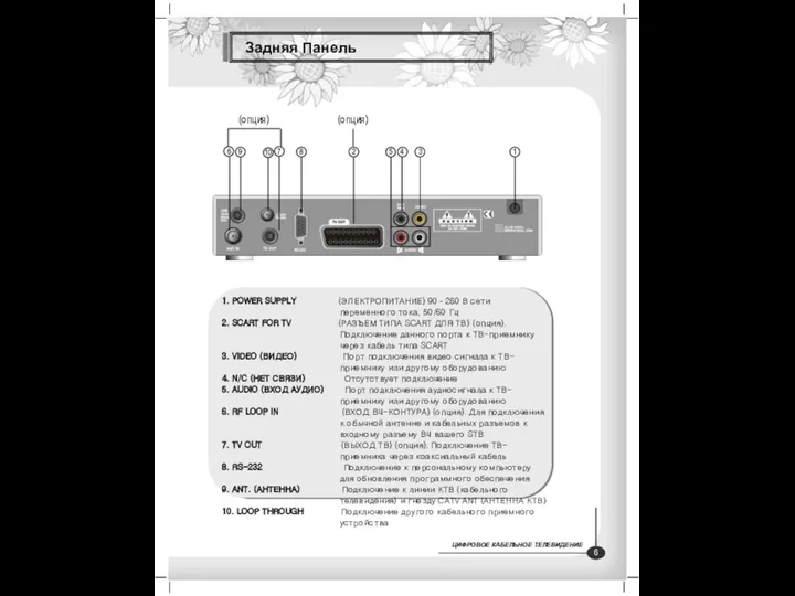 Задняя Панель 1. POWER SUPPLY (ЭЛЕКТРОПИТАНИЕ) 90 - 260 В