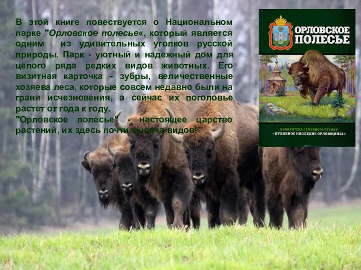 В этой книге повествуется о Национальном парке "Орловское полесье«, который является одним из