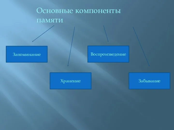 Основные компоненты памяти Запоминание Хранение Воспроизведение Забывание