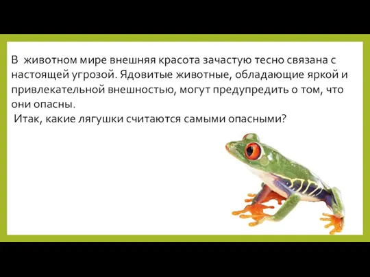 В животном мире внешняя красота зачастую тесно связана с настоящей