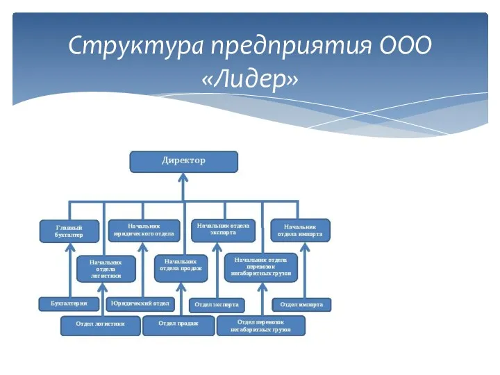 Структура предприятия ООО «Лидер»