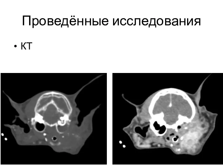 Проведённые исследования КТ