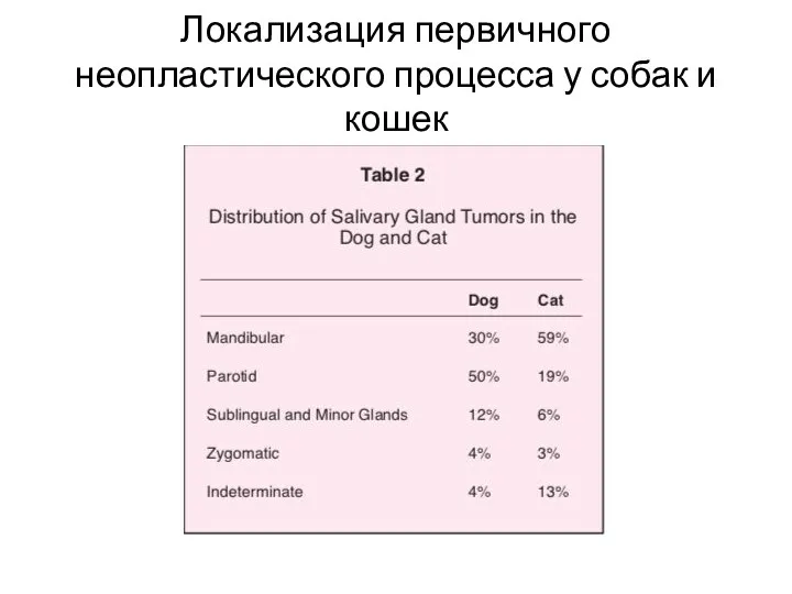 Локализация первичного неопластического процесса у собак и кошек