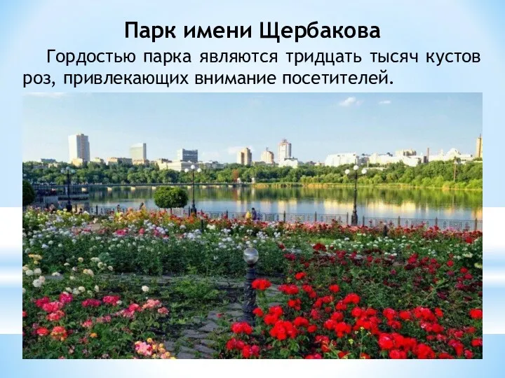 Парк имени Щербакова Гордостью парка являются тридцать тысяч кустов роз, привлекающих внимание посетителей.