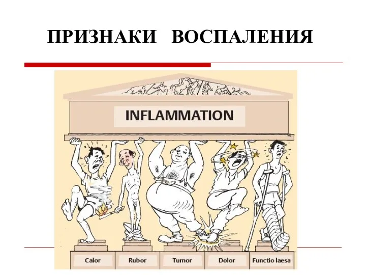 ПРИЗНАКИ ВОСПАЛЕНИЯ