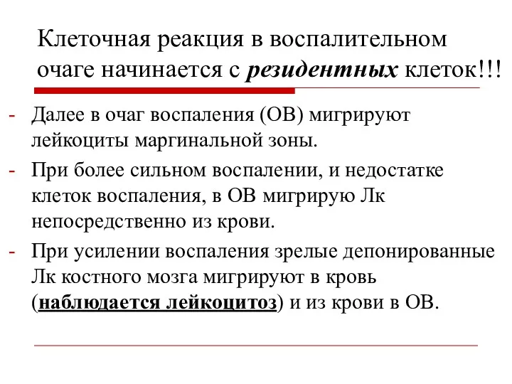 Далее в очаг воспаления (ОВ) мигрируют лейкоциты маргинальной зоны. При